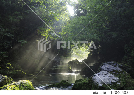 朝日が差し込む新緑と苔に包まれた円原川の幻想的な渓流風景 128405082
