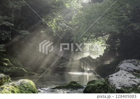 朝日が差し込む新緑と苔に包まれた円原川の幻想的な渓流風景 128405083
