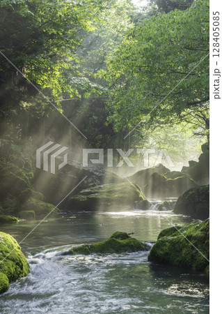 朝日が差し込む新緑と苔に包まれた円原川の幻想的な渓流風景 128405085