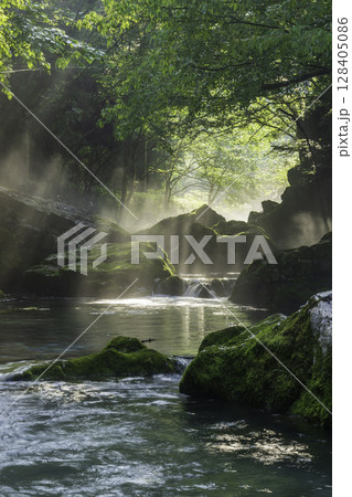 朝日が差し込む新緑と苔に包まれた円原川の幻想的な渓流風景 128405086