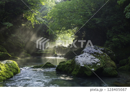 朝日が差し込む新緑と苔に包まれた円原川の幻想的な渓流風景 朝日が差し込む新緑と苔に包まれた円原川の幻想的な渓流風景 128405087