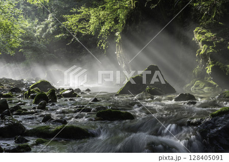 朝日が差し込む新緑と苔に包まれた円原川の幻想的な渓流風景 朝日が差し込む新緑と苔に包まれた円原川の幻想的な渓流風景 128405091