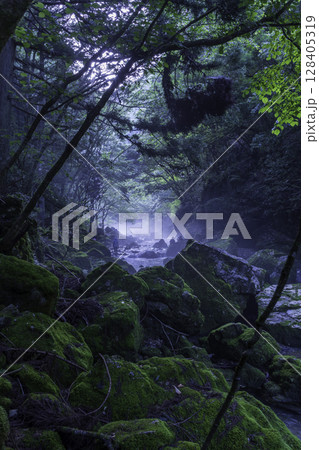 霧に包まれた幻想的な円原川で光芒を撮影の準備をするカメラマンたちの早朝の風景 128405319