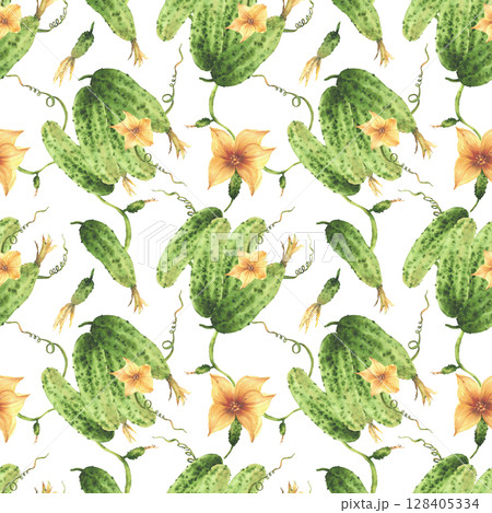 Realistic cucumbers watercolor seamless pattern with yellow flowers, tendril, buds and plant leaves. Hand drawn Botanical illustration for gardening harvest packaging, fabric. Isolated from background Realistic cucumbers watercolor seamless pattern with yellow flowers, tendril, buds and plant leaves. Hand drawn Botanical illustration for gardening harvest packaging, fabric. Isolated from background 128405334