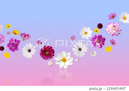 Colorful summer autumn background of flowers pink and white cosmos, dahlias, osteospermum and orange marigolds. Floral Greeting card. Happy Mother's Day greeting card, happy Easter, happy birthday 128405497