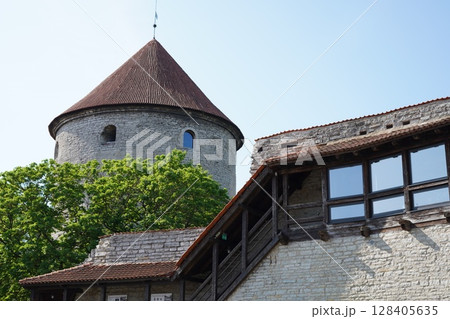 タリン　デンマーク王の庭 128405635