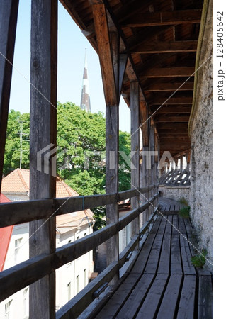 タリン　城壁の上の通路 128405642