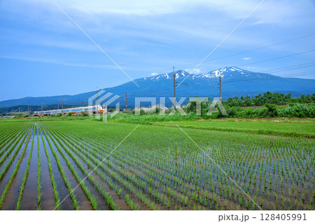 鳥海山と特急いなほ 鳥海山と特急いなほ 128405991