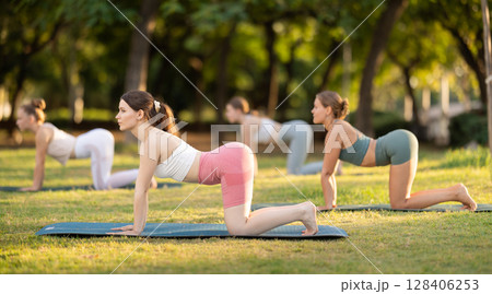Group of young women doing yoga in cat pose Group of young women doing yoga in cat pose 128406253