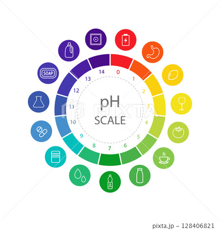PH value Scale. Color chart with pH food level. Scale indicator for litmus paper test. Vector illustration isolated on white background 128406821