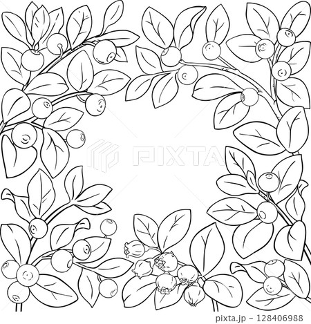 Bilberry Branch with Berries Outline Frame. Bilberry Branch with Berries Outline Frame. 128406988