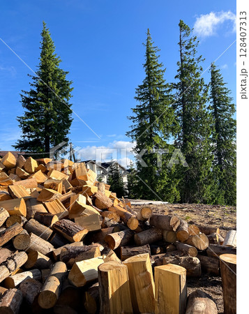 Pile of cut logs with pine trees and blue sky in the background. Pile of cut logs with pine trees and blue sky in the background. 128407313