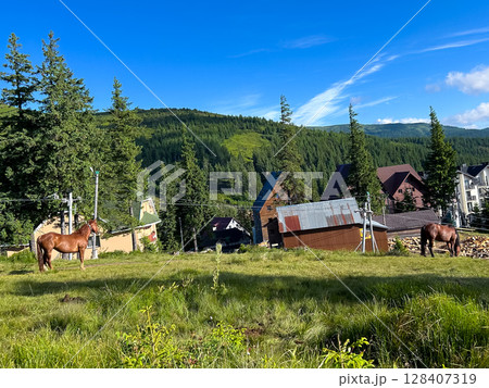 Two horses grazing in a rural landscape with houses and trees. Two horses grazing in a rural landscape with houses and trees. 128407319