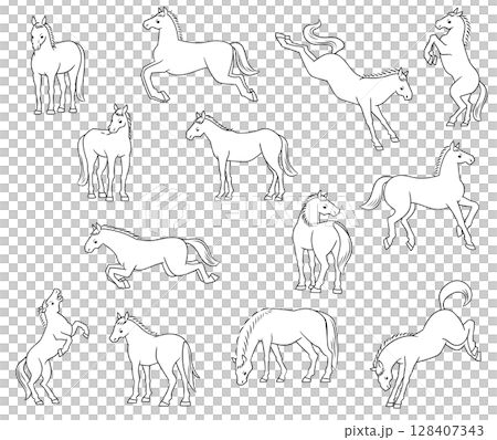 Various horse poses, line drawing illustration set Various horse poses, line drawing illustration set 128407343