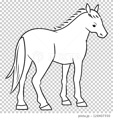 後ろから見た馬の線画ベクターイラスト 後ろから見た馬の線画ベクターイラスト 128407350