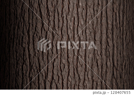 Detailed textured tree bark with deep grooves and natural patterns 128407655