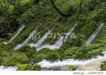 苔むした岩と美しい伏流水が流れる円原川の清流風景 128407974