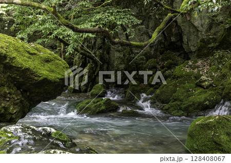 苔に覆われた岩と木々に囲まれた円原川の静かな清流風景 128408067