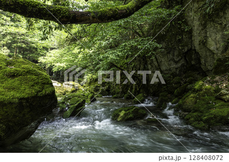 苔に覆われた岩と木々に囲まれた円原川の静かな清流風景 128408072