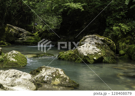 苔に覆われた岩と木々に囲まれた円原川の静かな清流風景 苔に覆われた岩と木々に囲まれた円原川の静かな清流風景 128408079