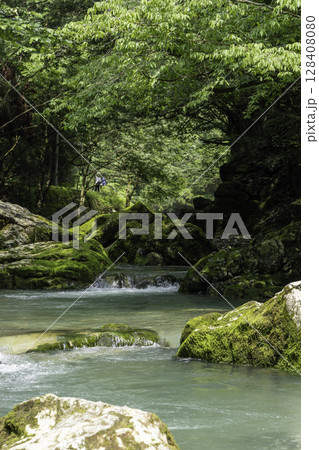 苔に覆われた岩と木々に囲まれた円原川の静かな清流風景 苔に覆われた岩と木々に囲まれた円原川の静かな清流風景 128408080