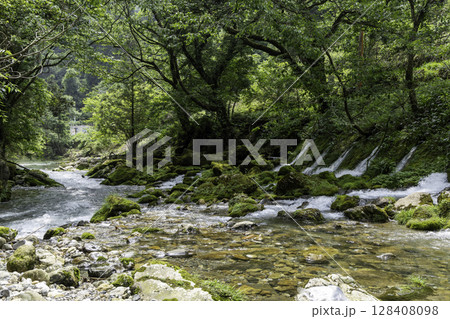 苔むした岩と美しい伏流水が流れる円原川の清流風景 128408098