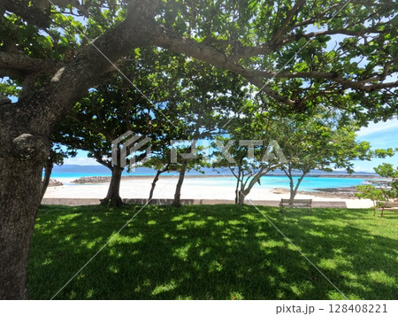 鳩間ブルー 鳩間ブルー 128408221