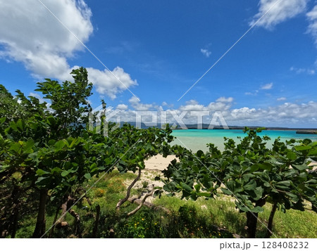 鳩間ブルー 128408232