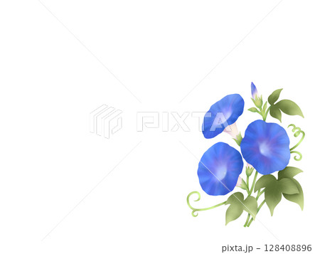 朝顔の背景 A-3 朝顔の背景 A-3 128408896