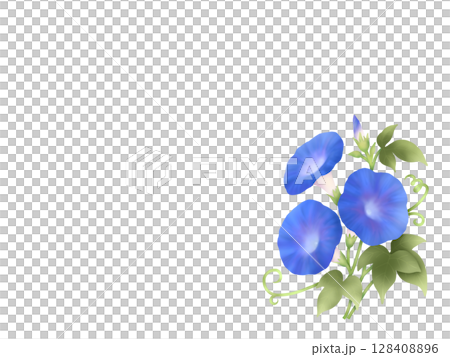 朝顔の背景 A-3 朝顔の背景 A-3 128408896