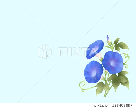 朝顔の背景 A-4 朝顔の背景 A-4 128408897