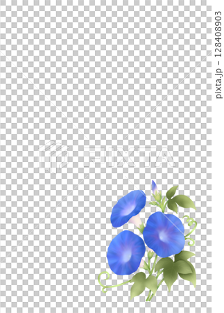 Morning glory background B-3 128408903