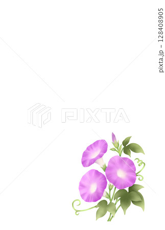 朝顔の背景　B-5 128408905
