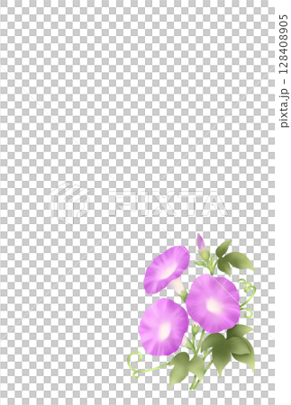 朝顔の背景　B-5 128408905