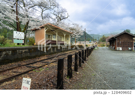 静岡県川根本町　大井川鐵道大井川本線の駅　雨降りの春の青部駅 128409602