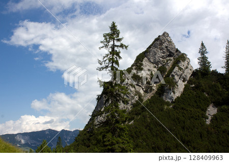 Stunning landscape featuring a unique rock formation and lone tree in Tyrol, Austria during a bright sunny day 128409963