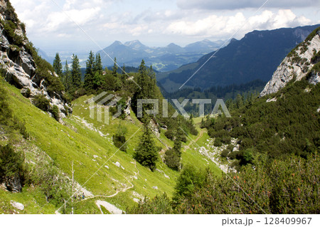 Scenic hiking trail in Tyrol, Austria, showcasing lush greenery and distant mountains under a partly cloudy sky Scenic hiking trail in Tyrol, Austria, showcasing lush greenery and distant mountains under a partly cloudy sky 128409967
