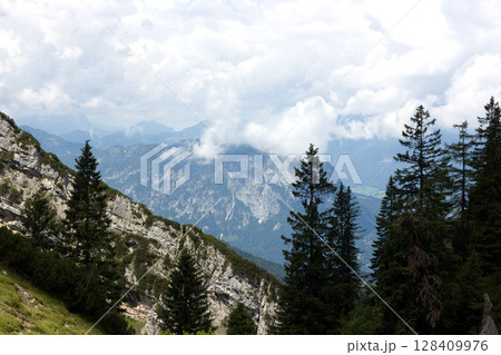 Majestic mountains rise above lush forests in Tyrol, Austria, inviting adventure and exploration on a cloudy day 128409976