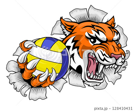 Tiger Volleyball Volley Ball Animal Sports Mascot Tiger Volleyball Volley Ball Animal Sports Mascot 128410431