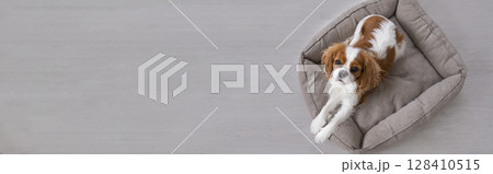 Portrait Portrait 128410515