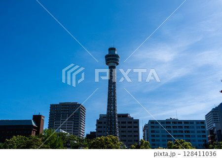 山下公園から見たマリンタワー 128411036