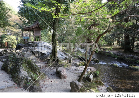 京都の世界遺産、上賀茂神社(賀茂大社) 128411115