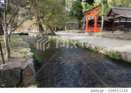 京都の世界遺産、上賀茂神社(賀茂大社) 128411116