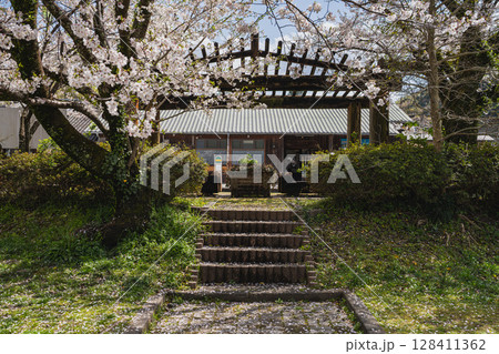 浜松市の天竜浜名湖鉄道の天竜二俣駅と桜の風景(静岡県) 浜松市の天竜浜名湖鉄道の天竜二俣駅と桜の風景(静岡県) 128411362