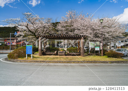 浜松市の天竜浜名湖鉄道の天竜二俣駅と桜の風景(静岡県) 浜松市の天竜浜名湖鉄道の天竜二俣駅と桜の風景(静岡県) 128411513