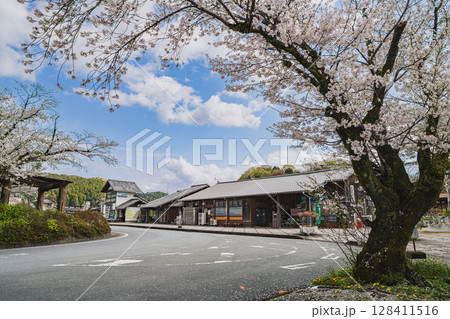 浜松市の天竜浜名湖鉄道の天竜二俣駅と桜の風景(静岡県) 128411516