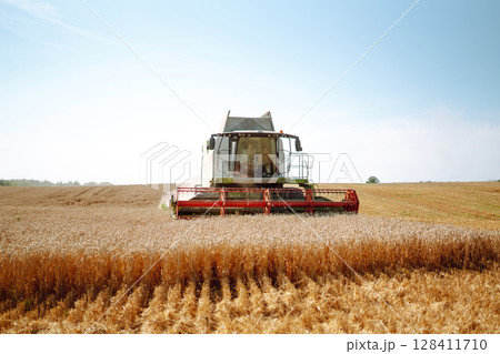 Combine harvester harvests grain in the field. Agriculture, gardening or ecology concept. 128411710