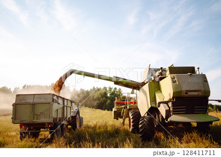 Combine harvester harvests grain in the field. Agriculture, gardening or ecology concept. Combine harvester harvests grain in the field. Agriculture, gardening or ecology concept. 128411711