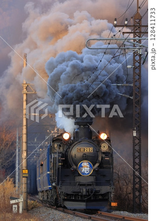 爆煙でやってきたSL大樹 C11207蒸気機関車 東武鬼怒川線 爆煙でやってきたSL大樹 C11207蒸気機関車 東武鬼怒川線 128411733