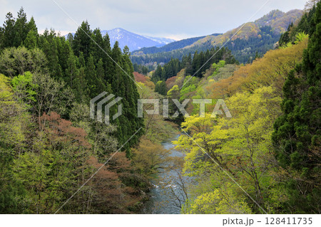 春の阿仁川	 128411735